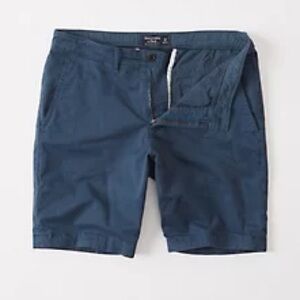Abercrombie & Fitch Blue Flat Front Shorts